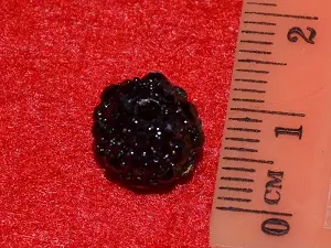 шамбала укр