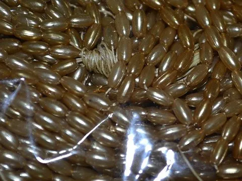 жемчуг-рис укр