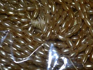 жемчуг-рис укр