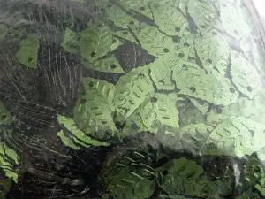 Паєтки листочки