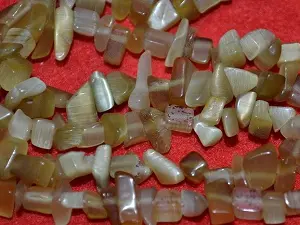 кошачий глаз укр