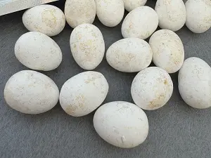 Пінопластові яйця - 1,5*1,8см -100шт