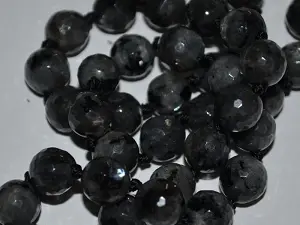 лабрадор укр