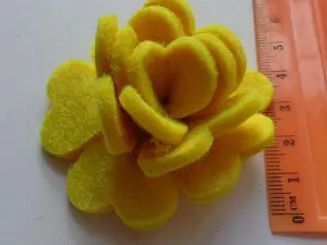 Аплікація-квітка