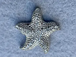 Розділювач Морська Зірка