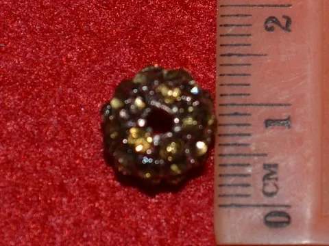 шамбала укр