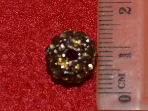 шамбала укр