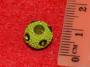 шамбала укр