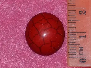 Кабошон корал