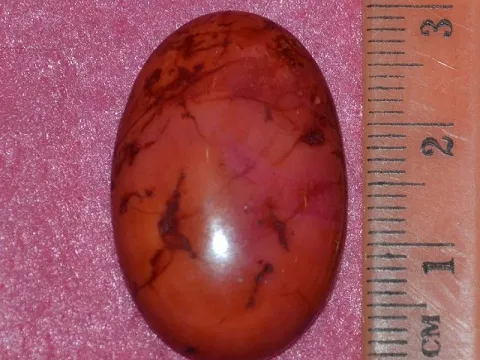 Кабошон корал