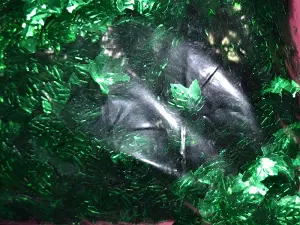 Паєтки листочки