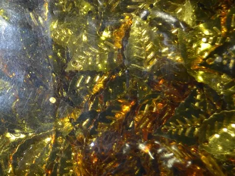 Паєтки листочки