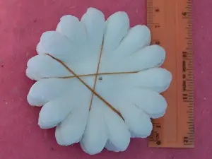 цветочки укр