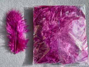 Перо пухнасте