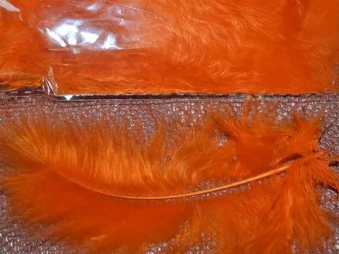 Перо пухнасте