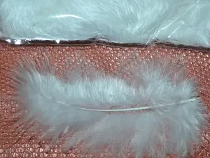 Перо пухнасте