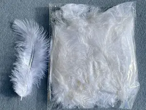 Перо пухнасте