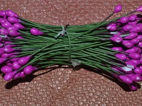 Тичинки на дроті