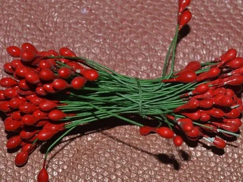 Тичинки на дроті