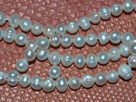 Жемчуг речной укр