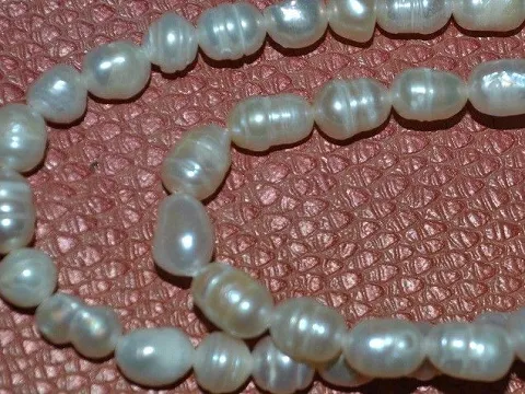 Жемчуг речной укр