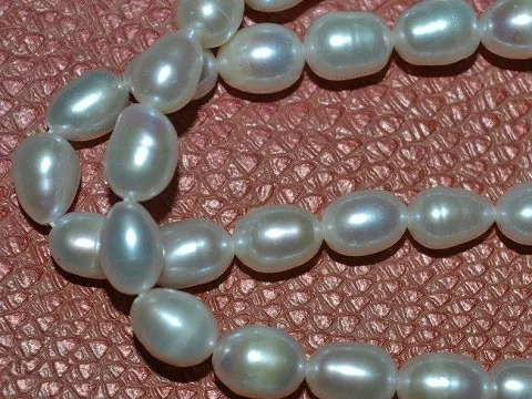 Жемчуг речной укр