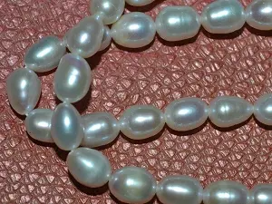 Жемчуг речной укр