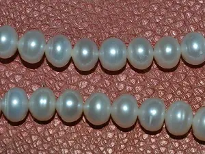 Жемчуг речной укр