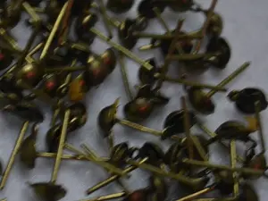 Швенза-пусета укр