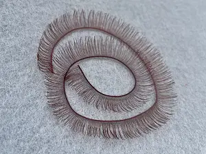 Вії для ляльок