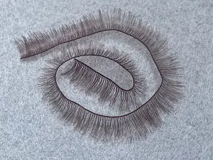 Вії для ляльок