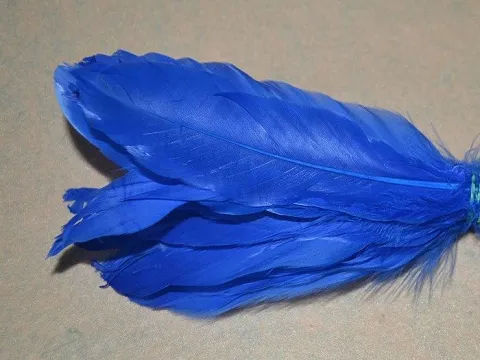 Перо на ножке