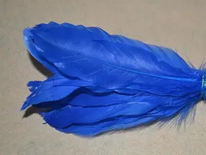 Перо на ніжці