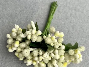 Тичинка "кашка"