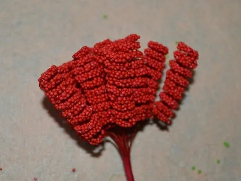 Тичинки спіраль