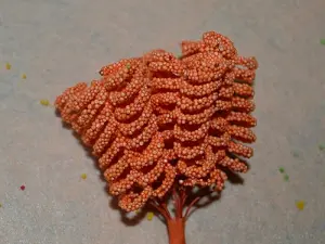 Тичинки спіраль