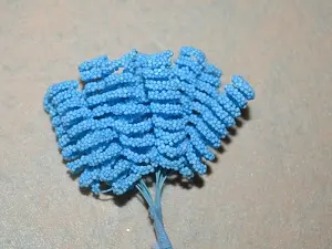 Тичинки спіраль