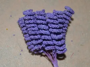 Тичинки спіраль