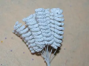 Тичинки спіраль