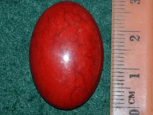 Кабошон корал