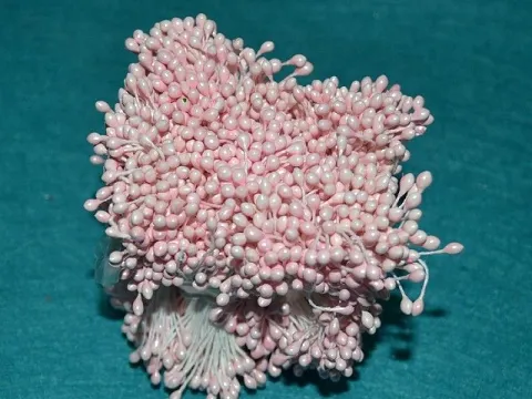 Тичинки на нитці