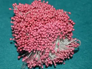 Тичинки на нитці