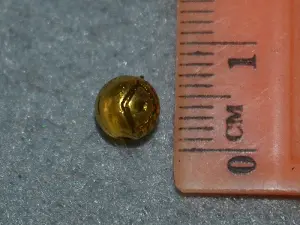 Бусина-10шт укр