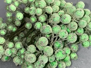 Сахарные ягодки калины