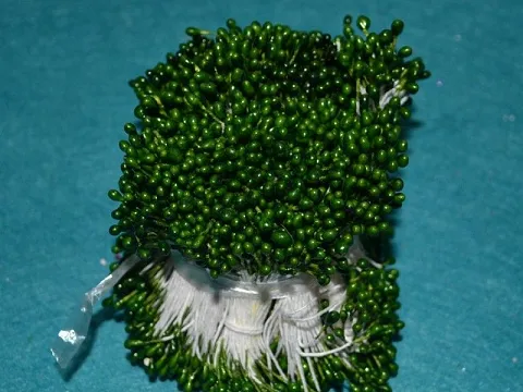 Тичинки на нитці