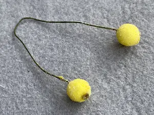 Цукрові ягідки калини