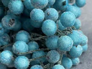 Цукрові ягідки калини