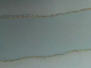 Стрічка органза-люрекс-5см