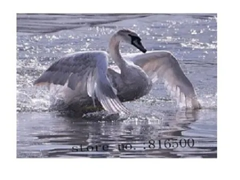 Картина 40*50см укр