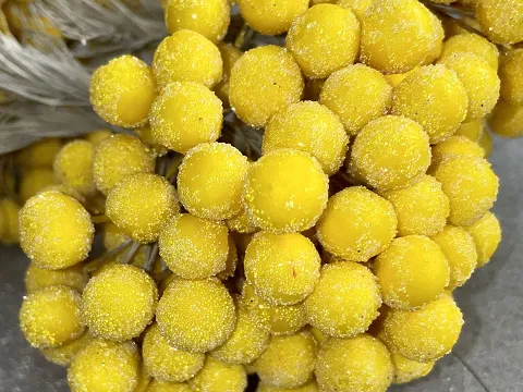 Сахарные ягодки калины